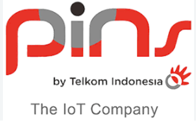 PINS Indonesia